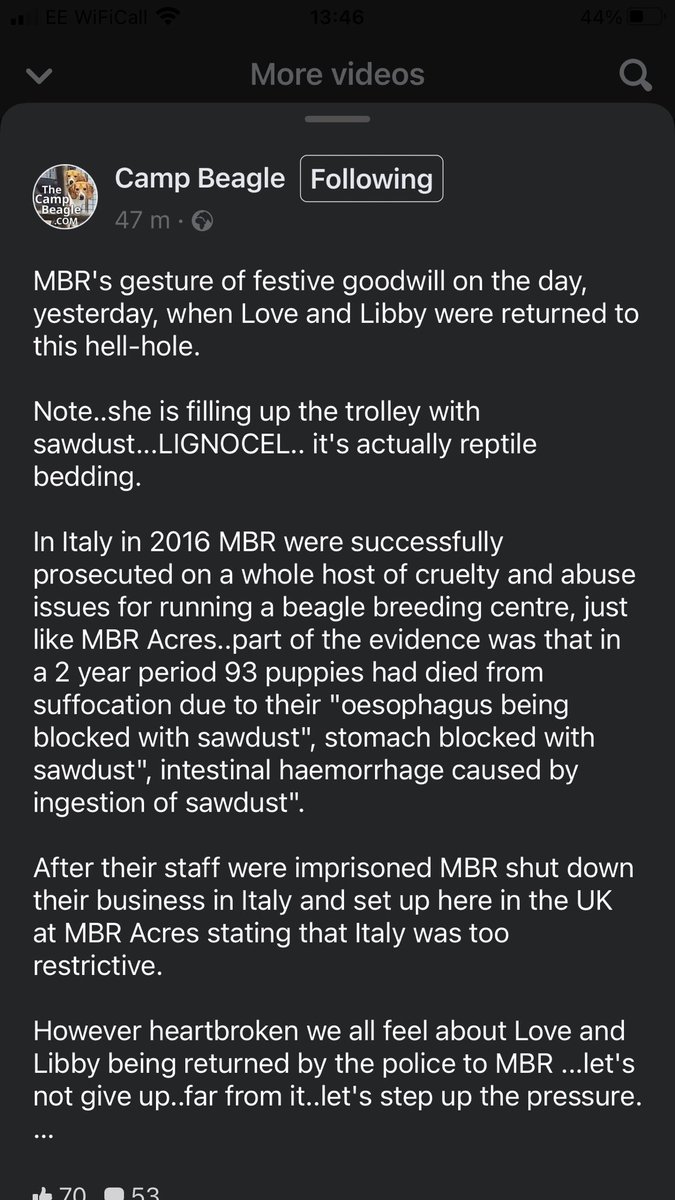 hellsbellsus's tweet image. We need 40,000 by 8 September. For the beagles please sign the petition and repost to everybody  petition.parliament.uk/petitions/6335…