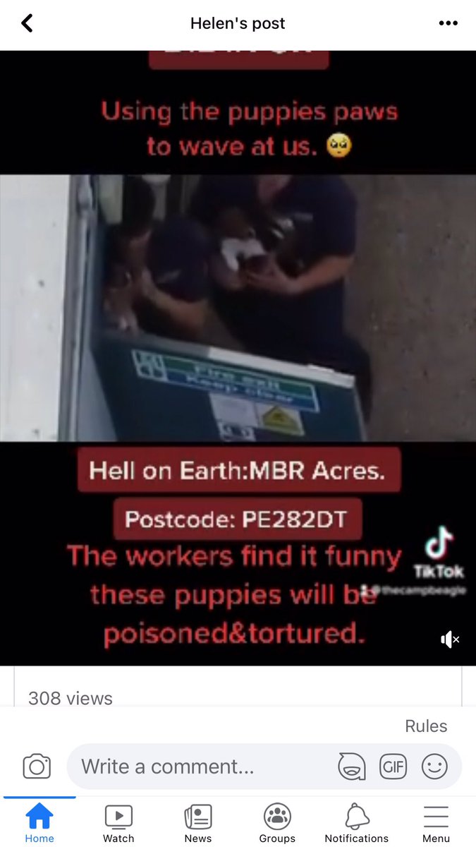 hellsbellsus's tweet image. We need 40,000 by 8 September. For the beagles please sign the petition and repost to everybody  petition.parliament.uk/petitions/6335…