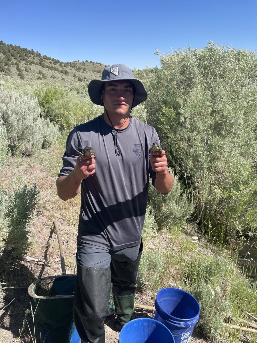 SDStateNRM tweet media