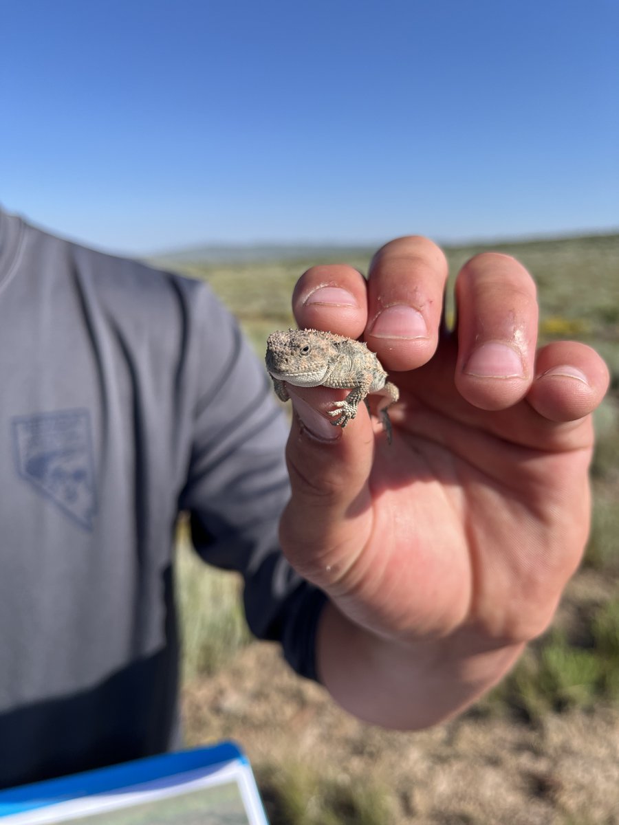 SDStateNRM tweet media