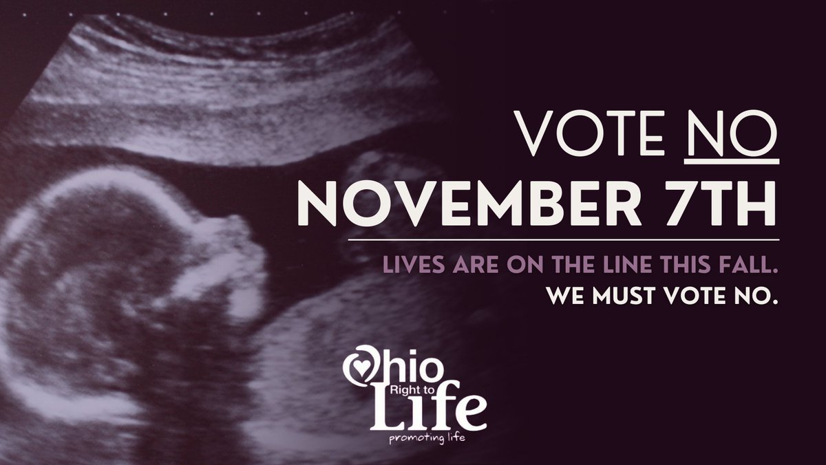 🗣️Pro-Life Ohio, it is time to get serious! 

State-sanctioned murder is on the ballot this November, and it is up to us to stop it. Go to ohiolife.org/ballotinitiati… for more information on what YOU can do to get involved. #EndAbortionOhio