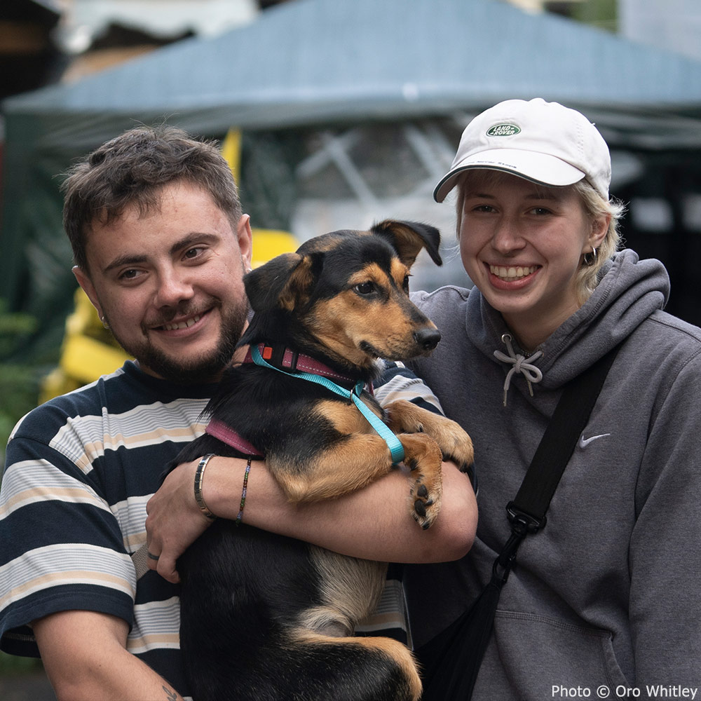 GreaterGoodorg's tweet photo. Our #GoodFix team has just returned from #Ukraine, where they completed a clinic that safely sterilized, vaccinated & flea/tick treated over 650 cats & dogs! ππ #AmplifyTheGood https://t.co/DqgHXrPELa