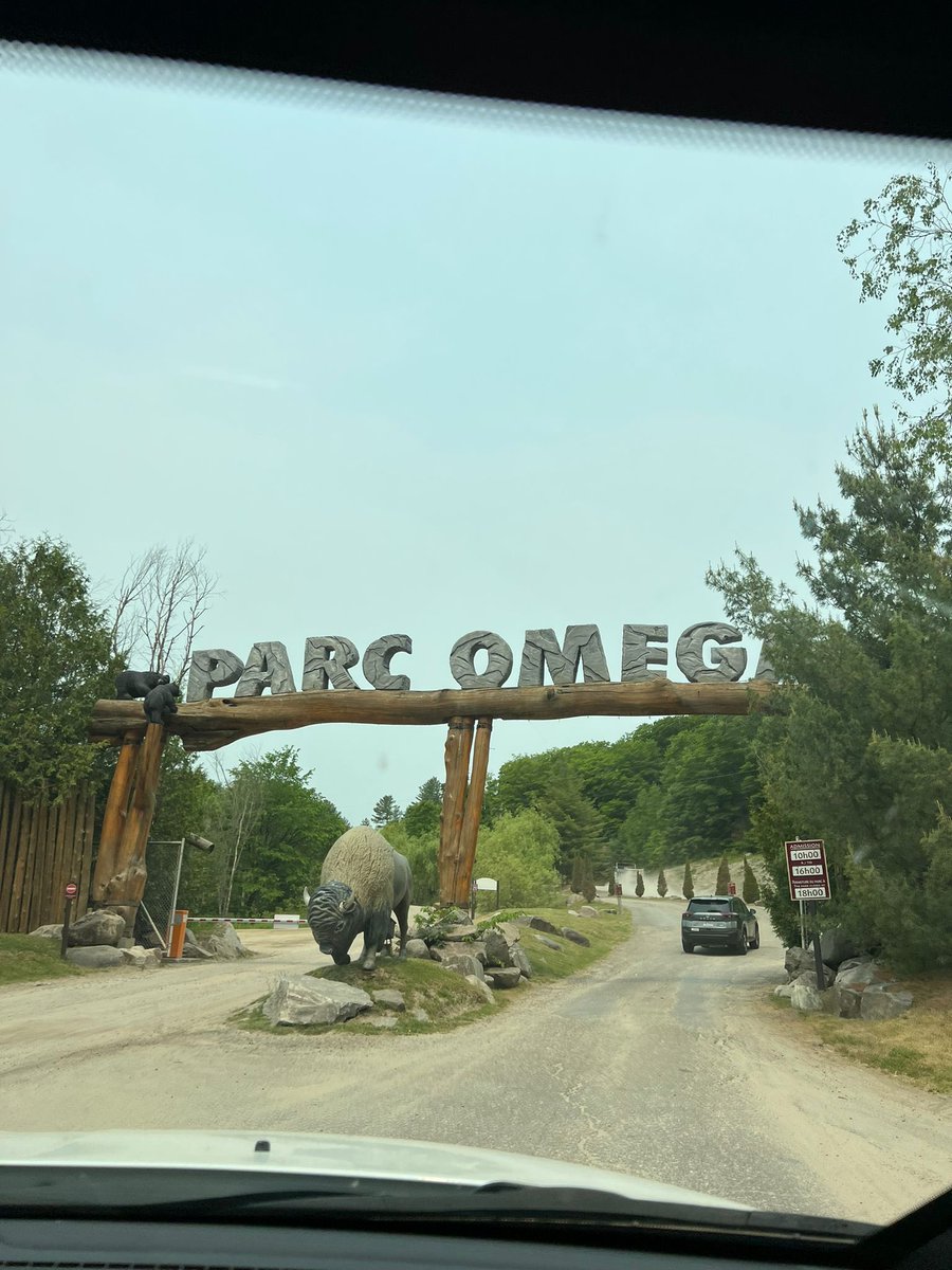 Maxx_1311's tweet image. 🇨🇦 PARC OMEGA 🇨🇦

@parc_omega 🫎

#Québec #ExploreCanada #parcomega #BonjourQuebec #Montebello #roadTrip #Family