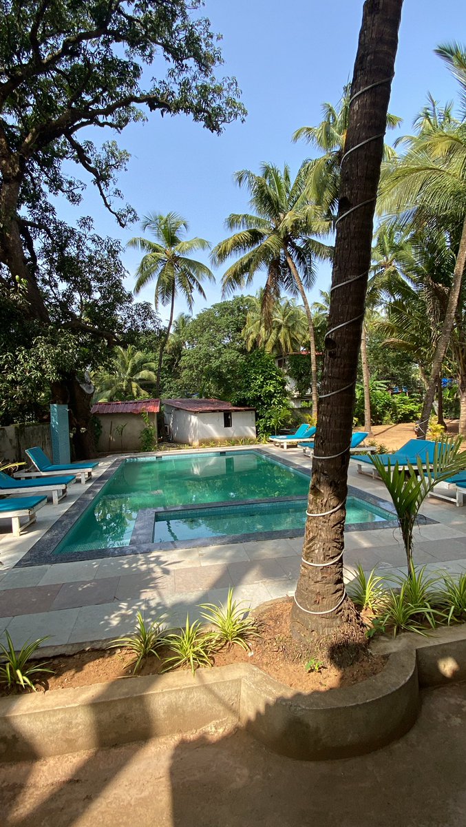 Trust me you want this on your next trip to goa 

4 bedrooms 
2 terraces 
Private pool 
Walled garden 
Insane fun 

Price ? Unfuckingbelievable 
Call me now 9082577697 #goa #villarentals  #godiverentals #tourism #goatourism