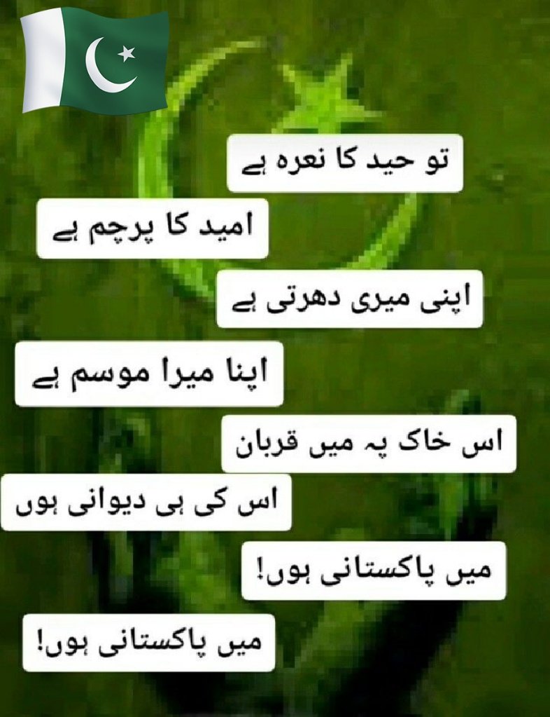 @Sk38329129 Pakistan zindabad 💚🤍