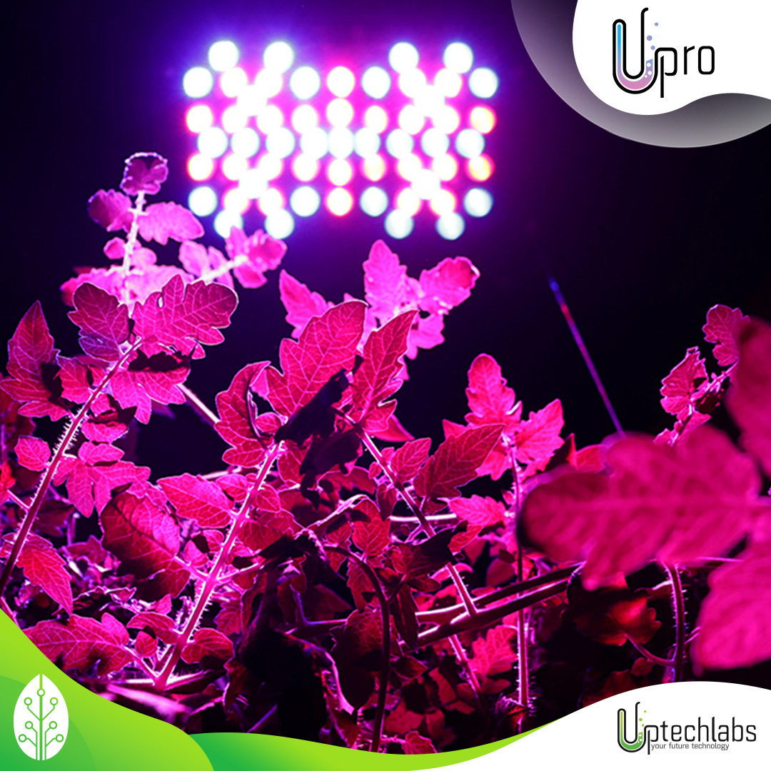 Uptechlabs tweet media