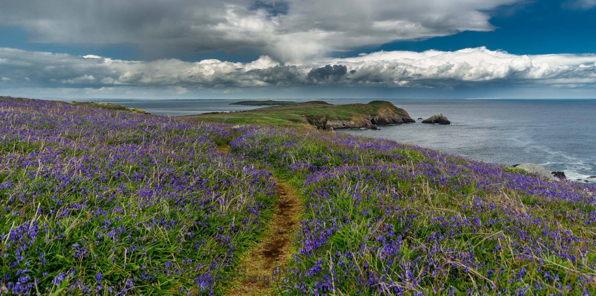 The Saltee Islands in County Wexford. By Kristin Gray. #Wexford #Ireland