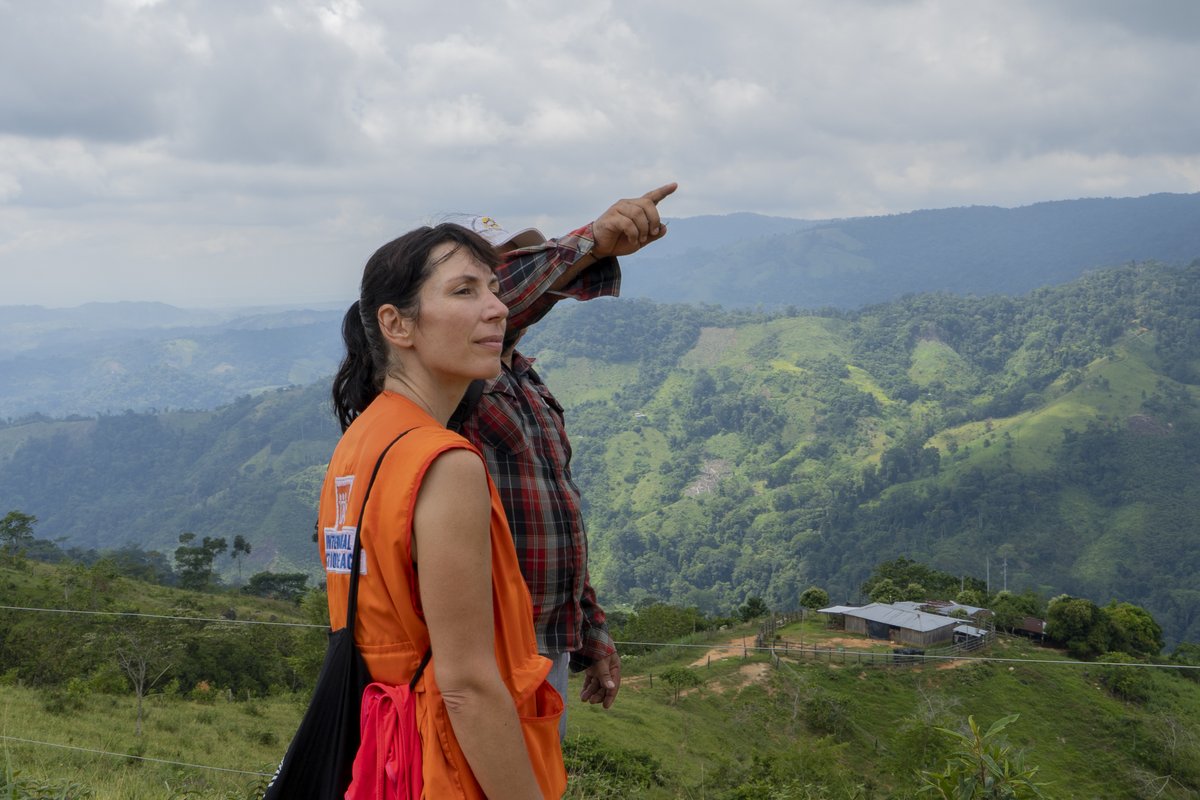 IAP ActionPeace tweet media