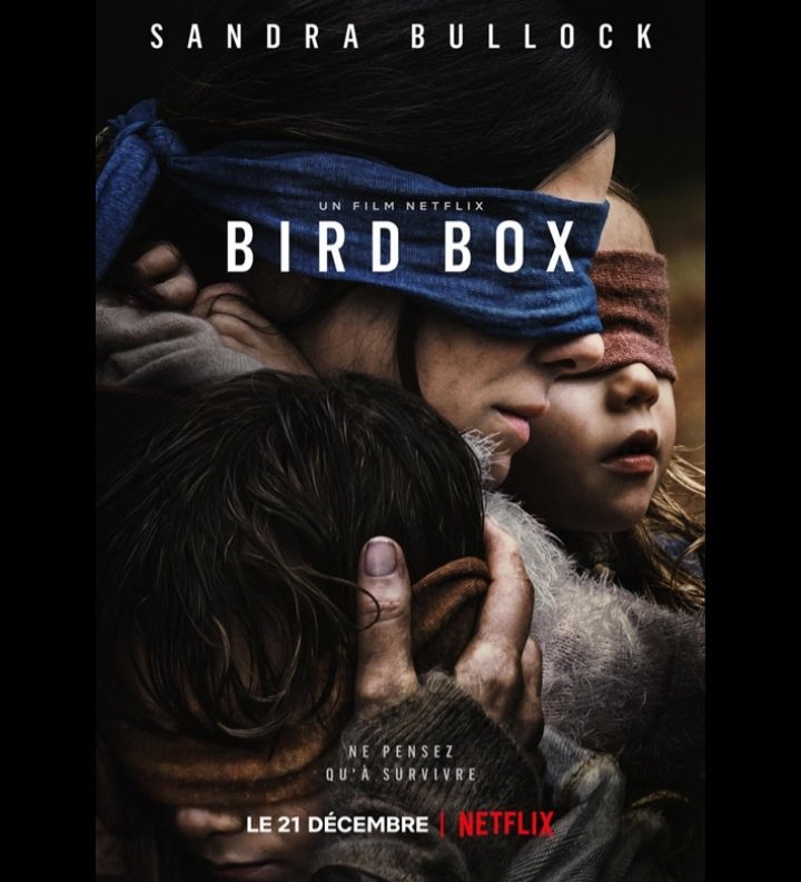 Calvinou4's tweet photo. #BirdBox, énorme déception. Malgré l'influence du cinéma danois de la réalisatrice, l'influence américaine prend le dessus et nous offre un résultat clichéesque du film de survival. 

Ils passent à côté de l'essence même de la SF : la recherche de la vraisemblance 

⭐⭐ https://t.co/XQaRIzKMT3
