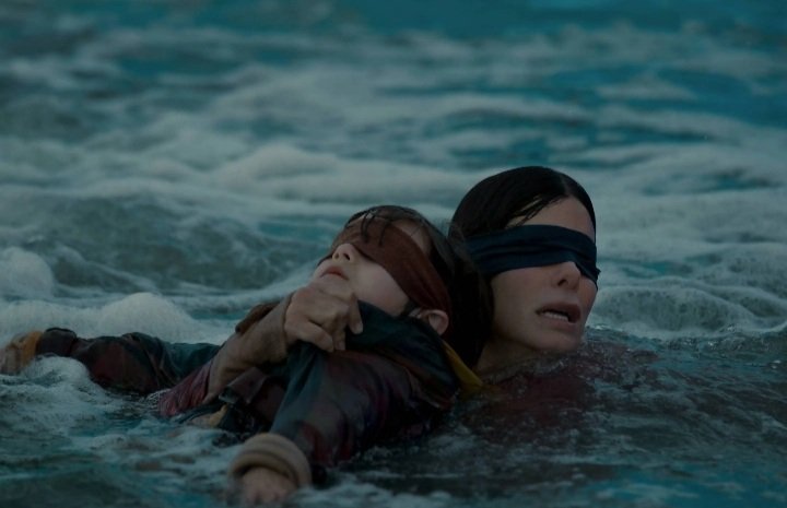 Calvinou4's tweet photo. #BirdBox, énorme déception. Malgré l'influence du cinéma danois de la réalisatrice, l'influence américaine prend le dessus et nous offre un résultat clichéesque du film de survival. 

Ils passent à côté de l'essence même de la SF : la recherche de la vraisemblance 

⭐⭐ https://t.co/XQaRIzKMT3