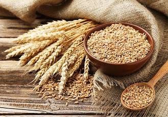 K. Said dismisses General Director of the Country Grain Board.
Tunisia suffers an ongoing shortage of grains for months, which caused serious disruption in bread production.
Arbitrary dismissals won't solve a crisis this big. Bread is a key element in #Tunisian lives
#Tunisia