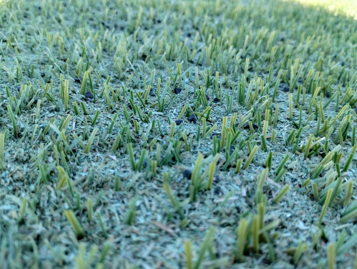 Conheça nossa linha esportiva.. Orçamentos 21965245146
Venda Manutenção e Instalação de Grama Sintética Decorativa e Esportiva