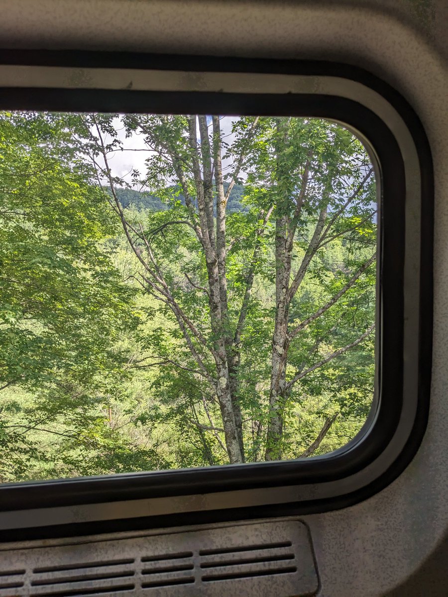 One hour ago my 20 minute, single stop Amtrak ride stopped in the middle of the woods due to an obstruction on the track. At what point do I begin drafting a locked-room train themed mystery novel?