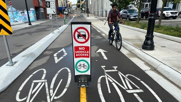 twowheelsg's tweet photo. Would like about 80 of these sighposts for #CrescentSt Astoria #bikeNYC two-way bikelane https://t.co/MAeBlC2UeL