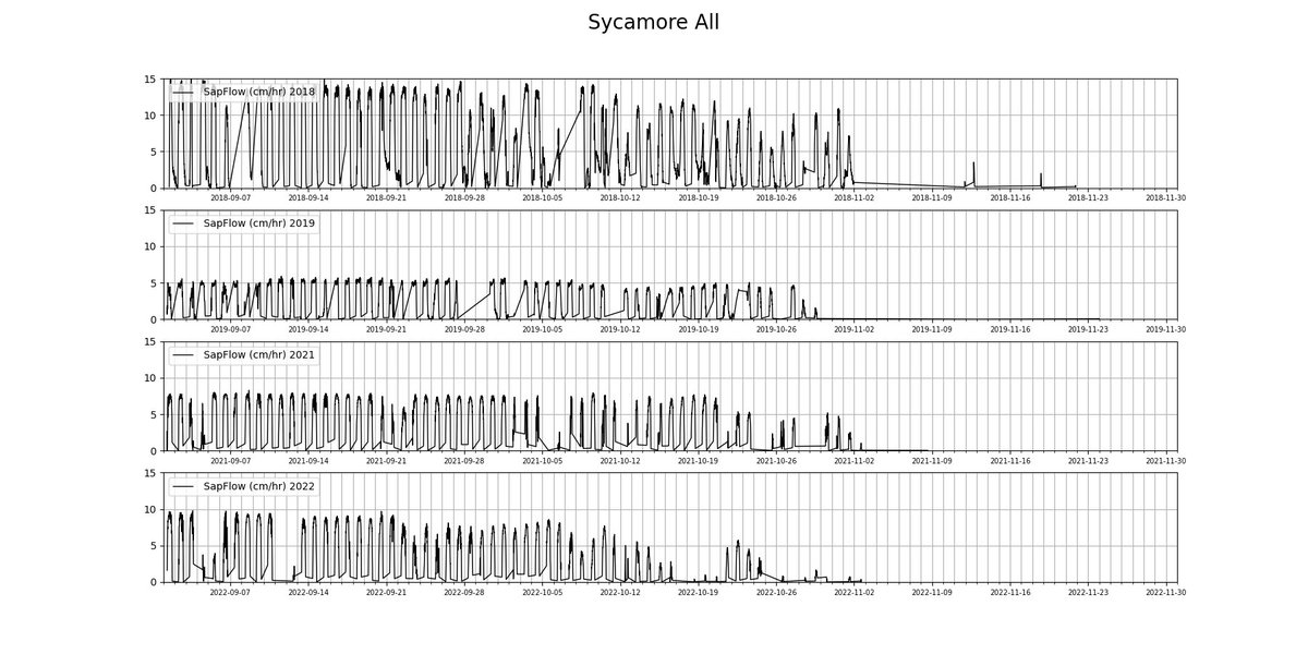 Fall is just around the corner! 🍂The scientists track fall color and leaf drop based on phenological observations and sap flow. The Sycamore tree tends to drop its leaves (where you see a decrease in sap flow) in late October/early November. #fall #data
