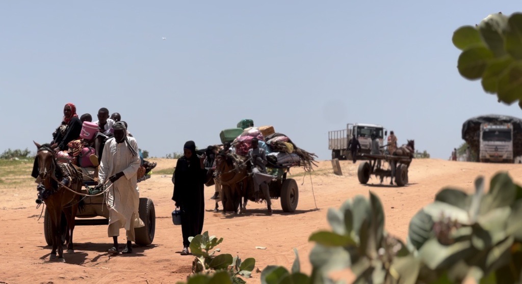 In Chad, UNHCR provides protection, health, education, livelihood, water and shelter to over 1.4M people forced to flee their homes thanks to our donors.

🙏 🇨🇦🇩🇰🇫🇷🇩🇪🇮🇹🇯🇵🇶🇦🇪🇸🇸🇪🇨🇭🇬🇧🇺🇸🇦🇪

Much more support is needed