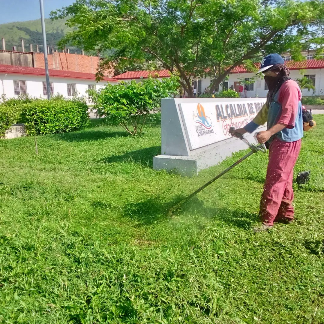 Instit12Febrero's tweet photo. #14Ago Damos inicio de semana cuadrillas del Instituto Bolivariano 12 de Febrero realiza desmalezado en la alcaldía de nuestro municipio y mantenimiento de las áreas verde en la plaza Ribas.
#RibasVuelveASonrei #GobernamosParaServir https://t.co/YscoUB2qvU