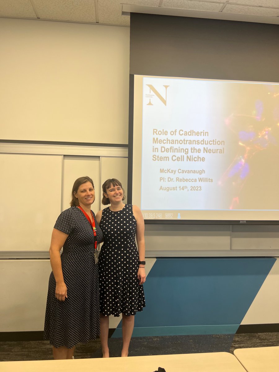 Rouzbeh Amini tweet media