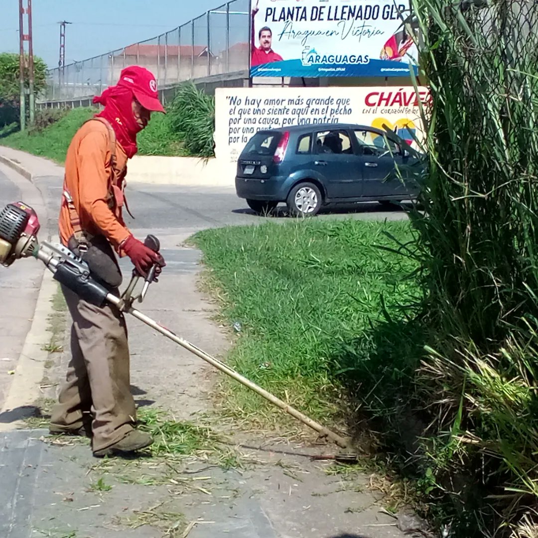 Instit12Febrero's tweet photo. #14Ago continúan los trabajos de desmalezado recolección de desechos orgánicos y mantenimiento de caminerias públicas en la Av. Intercomunal la Mora.
#RibasVuelveASonreir #GobernamosParaServir https://t.co/h2tNIRxdbK