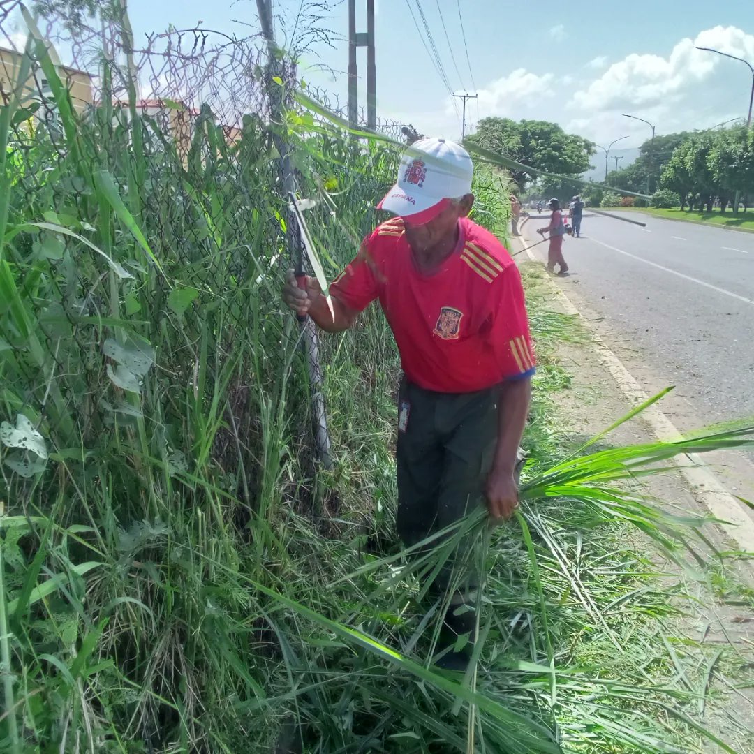Instit12Febrero's tweet photo. #14Ago continúan los trabajos de desmalezado recolección de desechos orgánicos y mantenimiento de caminerias públicas en la Av. Intercomunal la Mora.
#RibasVuelveASonreir #GobernamosParaServir https://t.co/h2tNIRxdbK