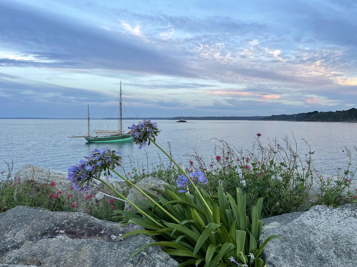 Magie des couleurs hier soir à ⁦<a href="/SQPx_ville/">Ville de Saint-Quay-Portrieux</a>⁩ . Vue du port sur la magnifique baie de ⁦<a href="/St_Brieuc_Bay/">Office de tourisme de la Baie de Saint-Brieuc</a>⁩