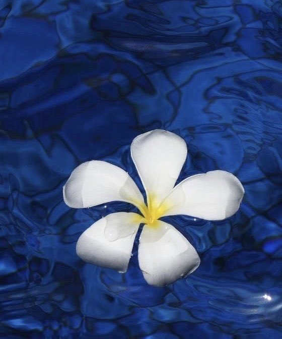 ٰ (@thcpage) on Twitter photo 