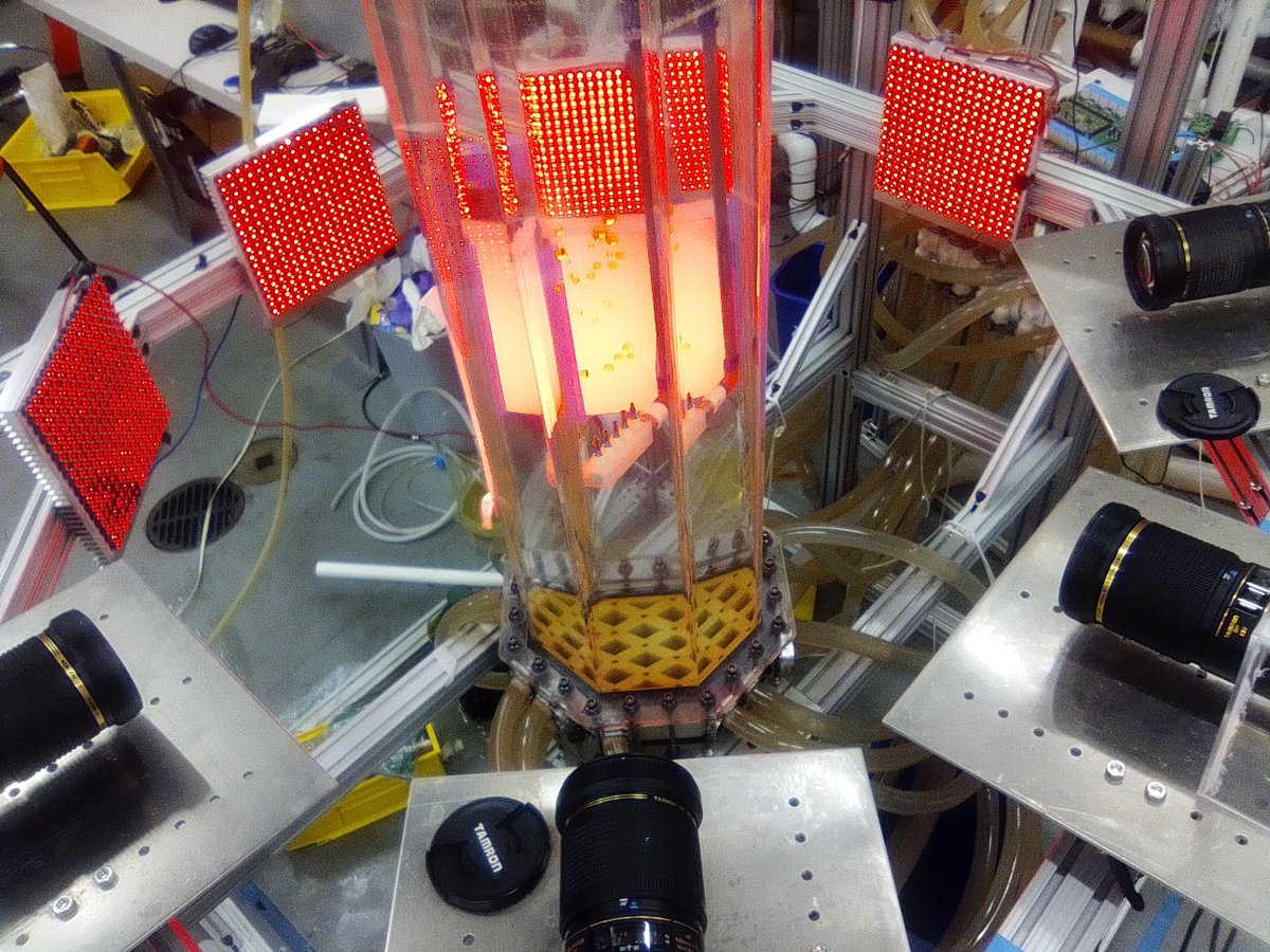 ceciliaaec's tweet photo. Just done with my 3 month visit to @JohnsHopkins! We started a great collaboration between @mefluife_ujagr at @CanalUGR/@ujaen/@iista_es  and @RuiniLab at @HopkinsEngineer as part of my PhD. Promising work together coming ahead! https://t.co/2biT3jTXP0
