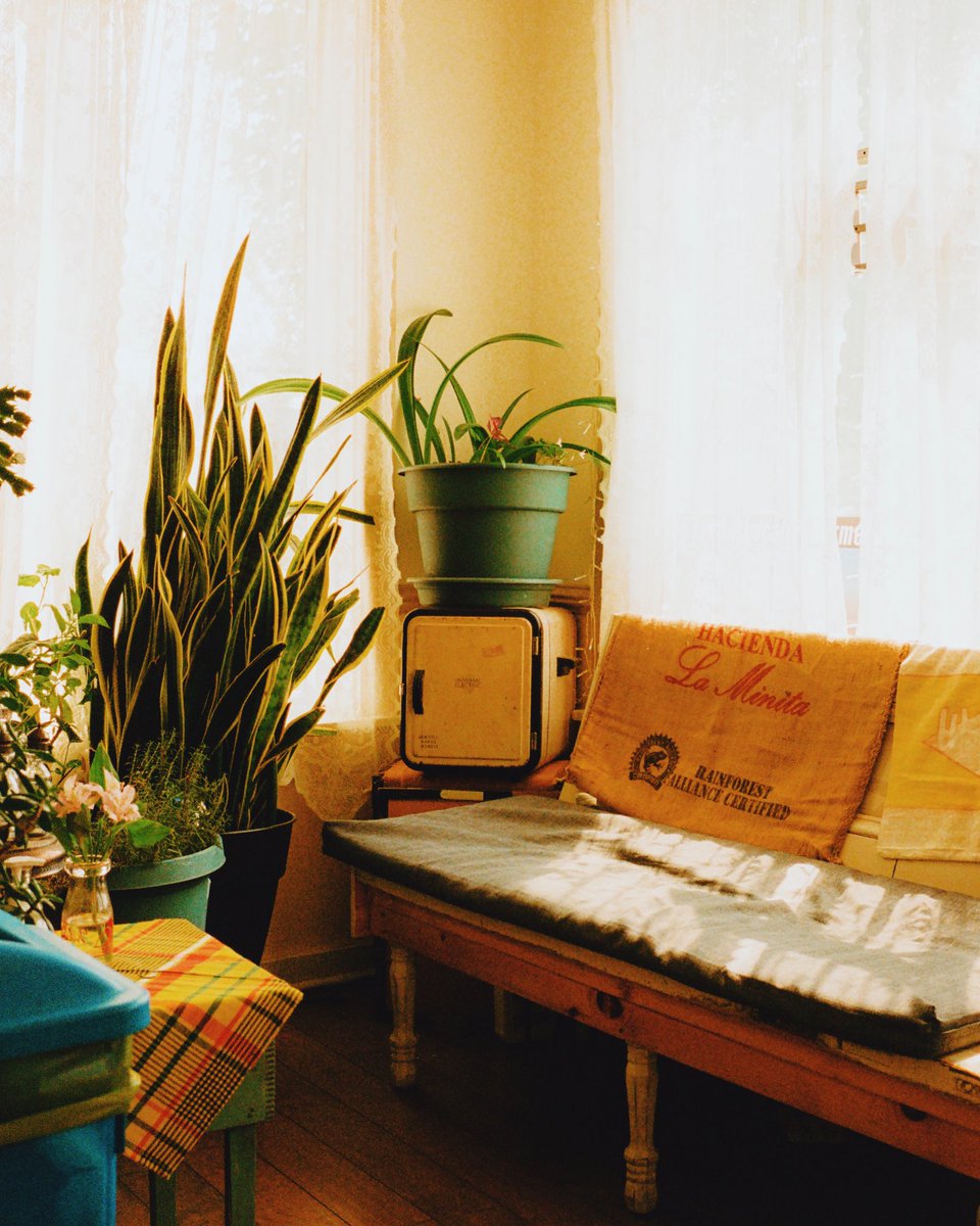 A few recent film photos