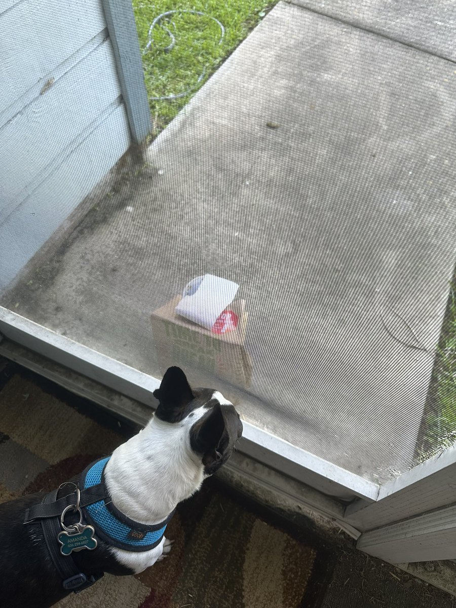 alb7585's tweet photo. @DoorDash_Help @DoorDash my directions say “please place in screened porch.” This doesn’t work. My drink did not survive this 🤦🏼‍♀️🙄 https://t.co/BtDAJC5U9i