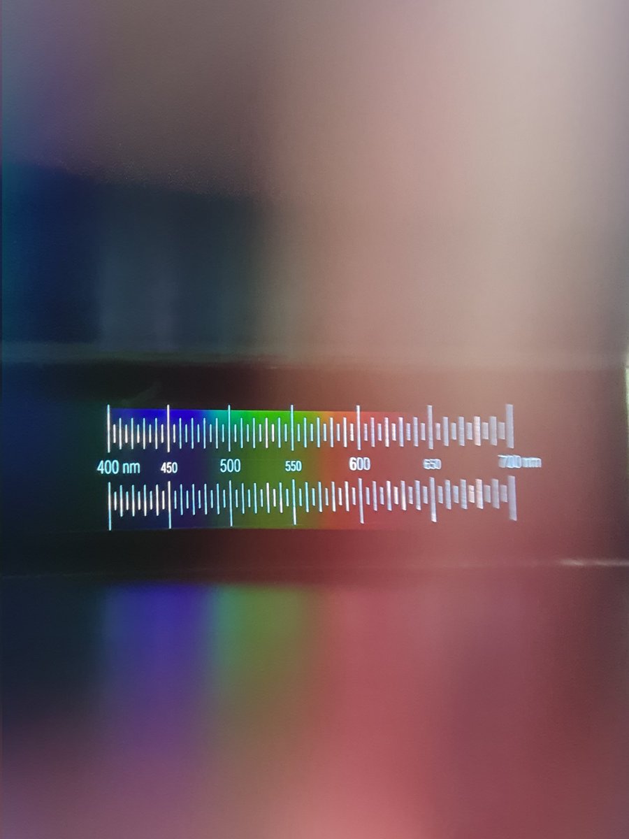 Dr Cornelia Hofmann tweet media