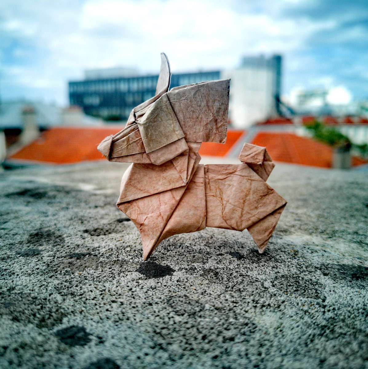 BarthDunkan's tweet photo. Origami Papillon Dog.
Épagneul nain continental papillon
sylisé et plié à partir d'un rectangle d'argent. par Barth Dunkan (EcOrigami).
#barthdunkan #ecorigami #puppy #origami #paperfolding #paperart #mfpp #papillondog #origamidog #origamipuppy https://t.co/eyhy6iX3te