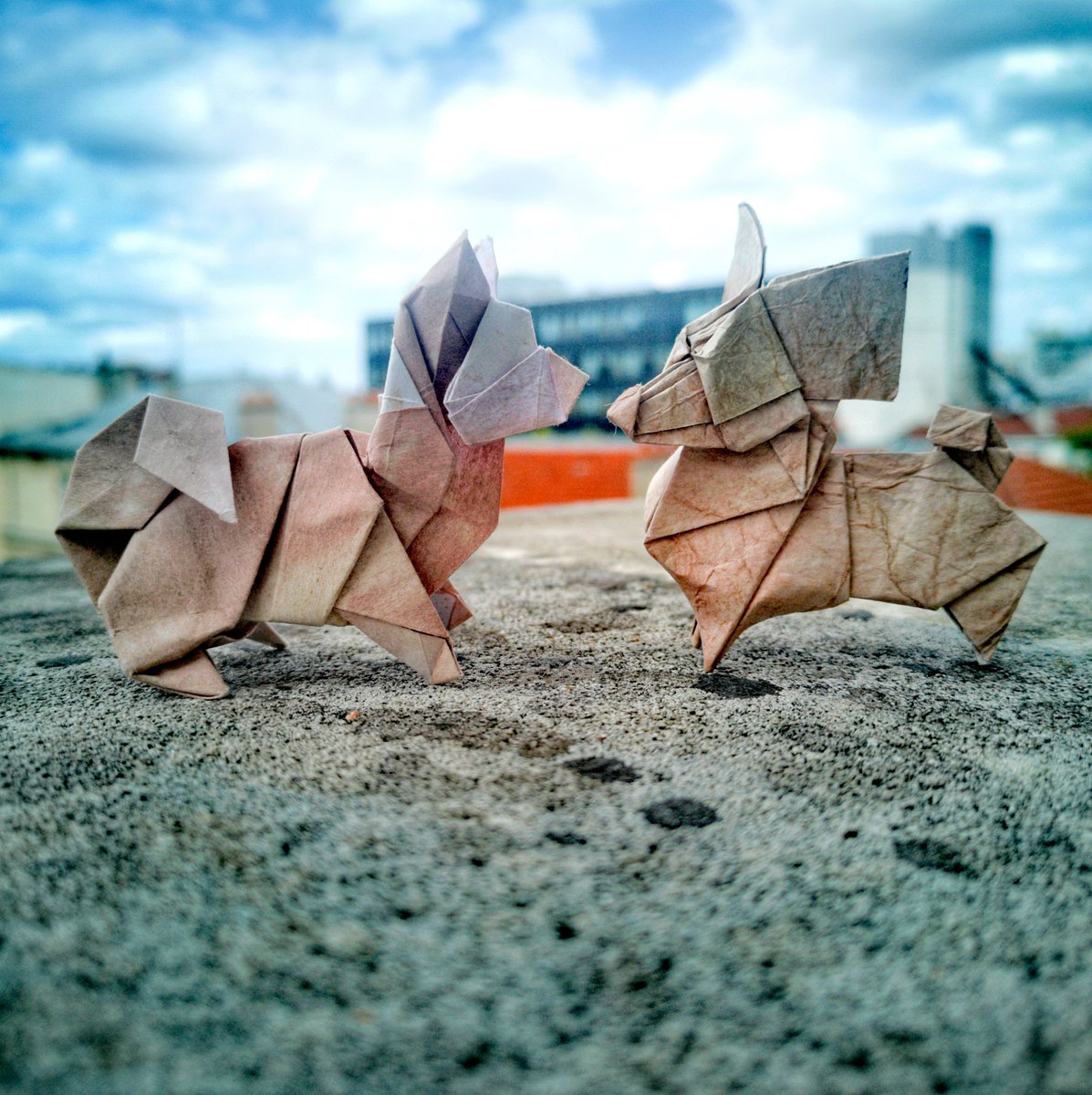 BarthDunkan's tweet photo. Origami Papillon Dog.
Épagneul nain continental papillon
sylisé et plié à partir d'un rectangle d'argent. par Barth Dunkan (EcOrigami).
#barthdunkan #ecorigami #puppy #origami #paperfolding #paperart #mfpp #papillondog #origamidog #origamipuppy https://t.co/eyhy6iX3te