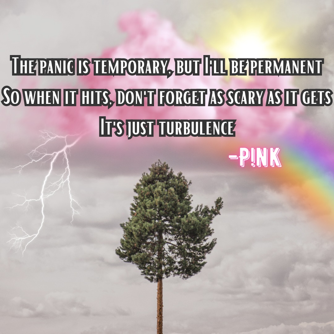 Cinema_Budz's tweet photo. How the hell am I supposed to keep my composure during this song tonight?!?!? It just came on while I was shaving, and i was full on crying. hahahahahaha. 
This week has been full of #firsttimesober moments, oy. And my 9th time seeing @Pink is one of them.  #milwaukee #sober https://t.co/zSuA0jrNGM