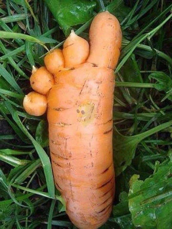 Babe you okay? You’ve barely touched your Carrotoes.