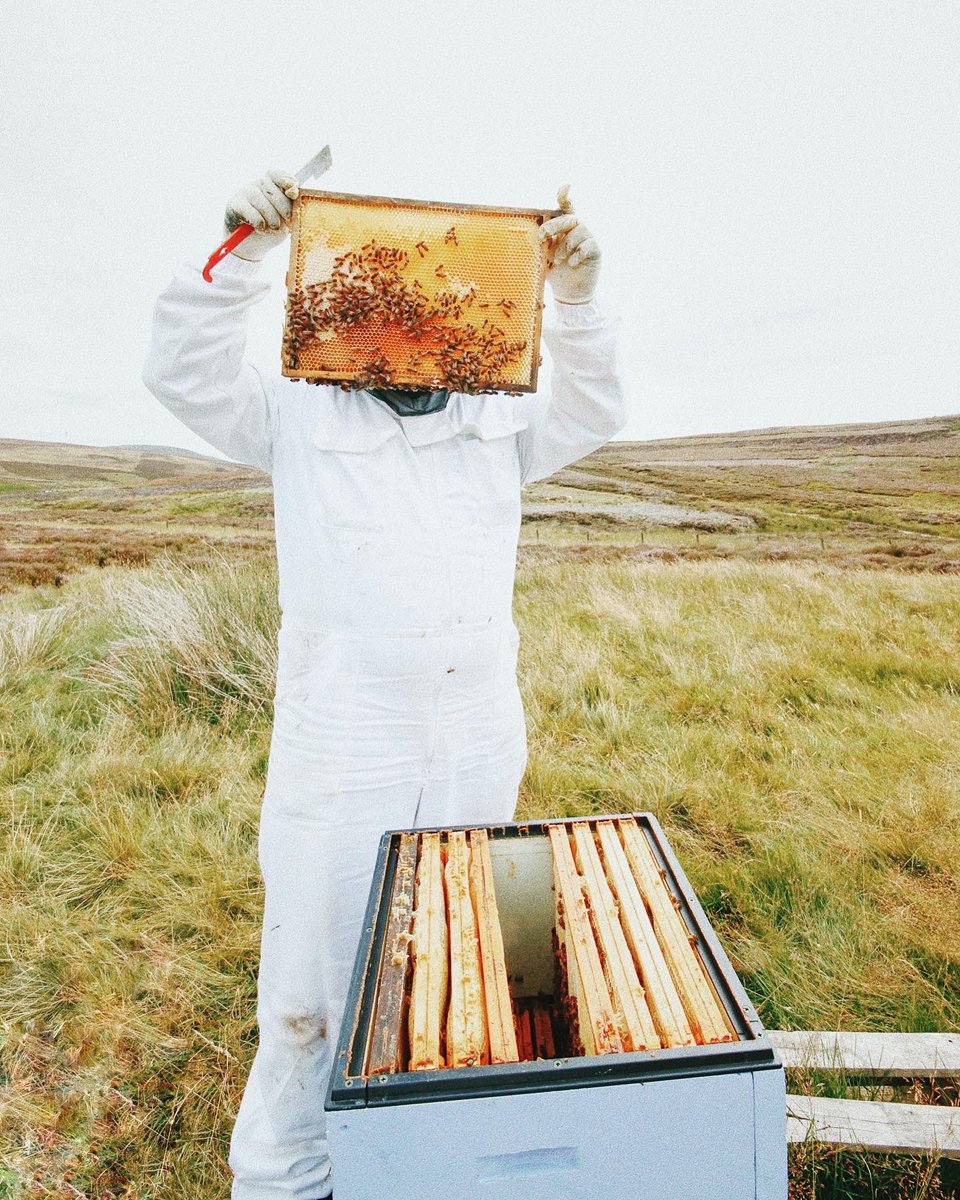 EDINBURGH HONEY CO. tweet media
