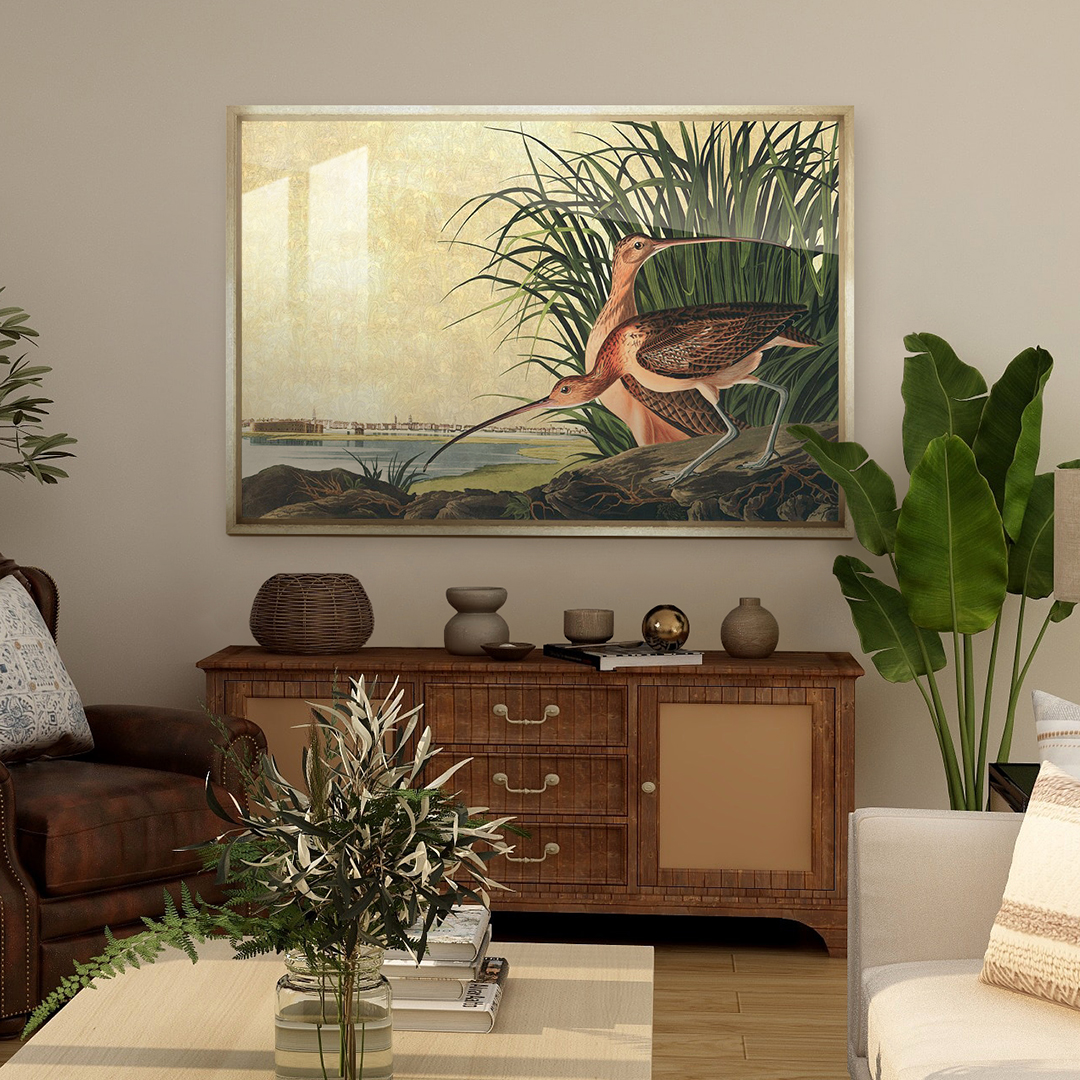 Trowbridge_Art's tweet photo. The recent success of our Folio range has identified vintage birds as a popular choice. So, our in-house creative team have re-launched our Folio Bird category with a variety of new feathered friends for you to discover. https://t.co/aEe7b97qlp