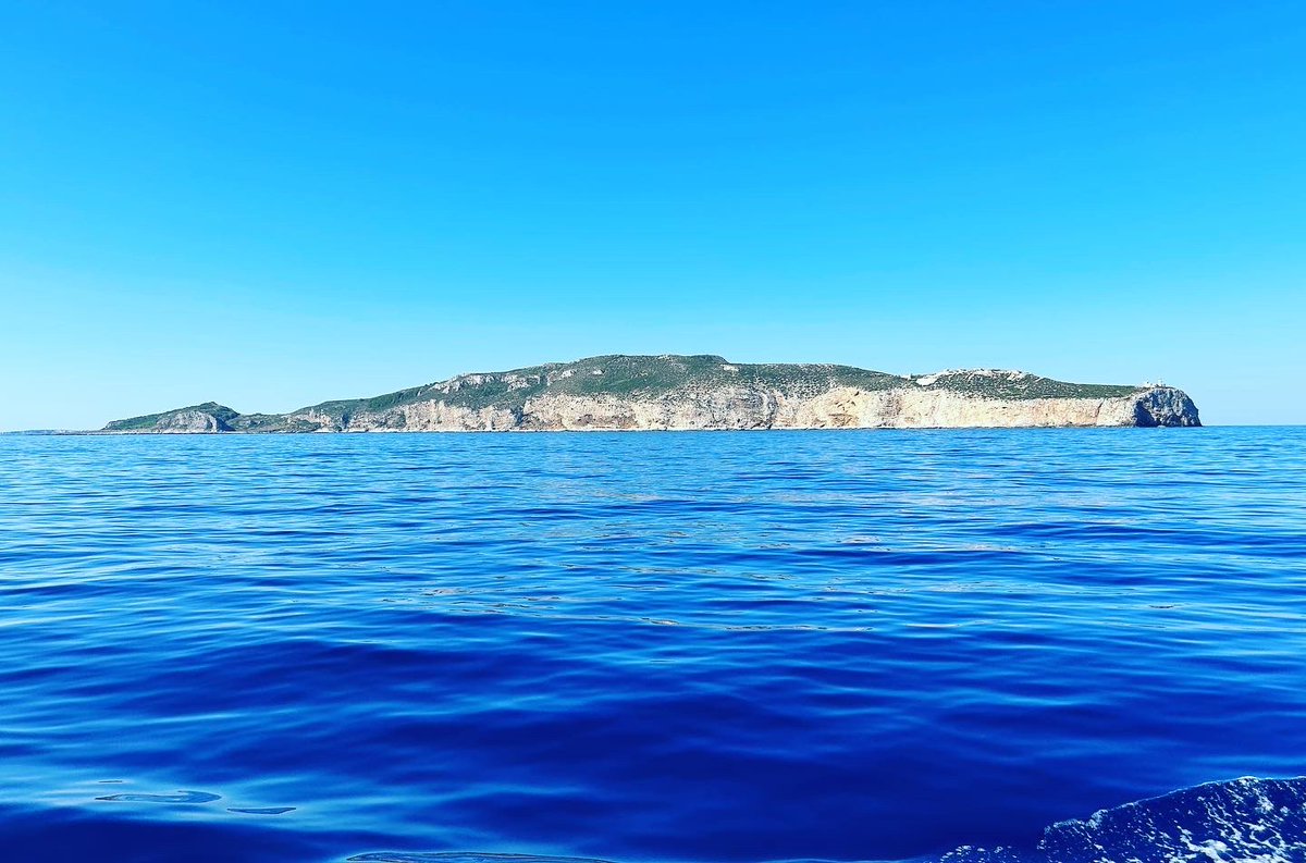 Another beautiful day using the ROV on the RV Hercules to explore the seabed around Levanzo!