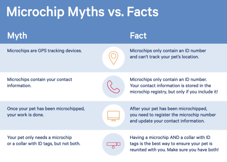 Approximately 10 million pets go missing in the United States every year, with millions of them ending up in shelters or facilities.

#MVC #DrJones #DrBernardo #aahaaccredited #AAHAHealthyPet #PetMicrochipping #microchipfacts #MicrochipMyths