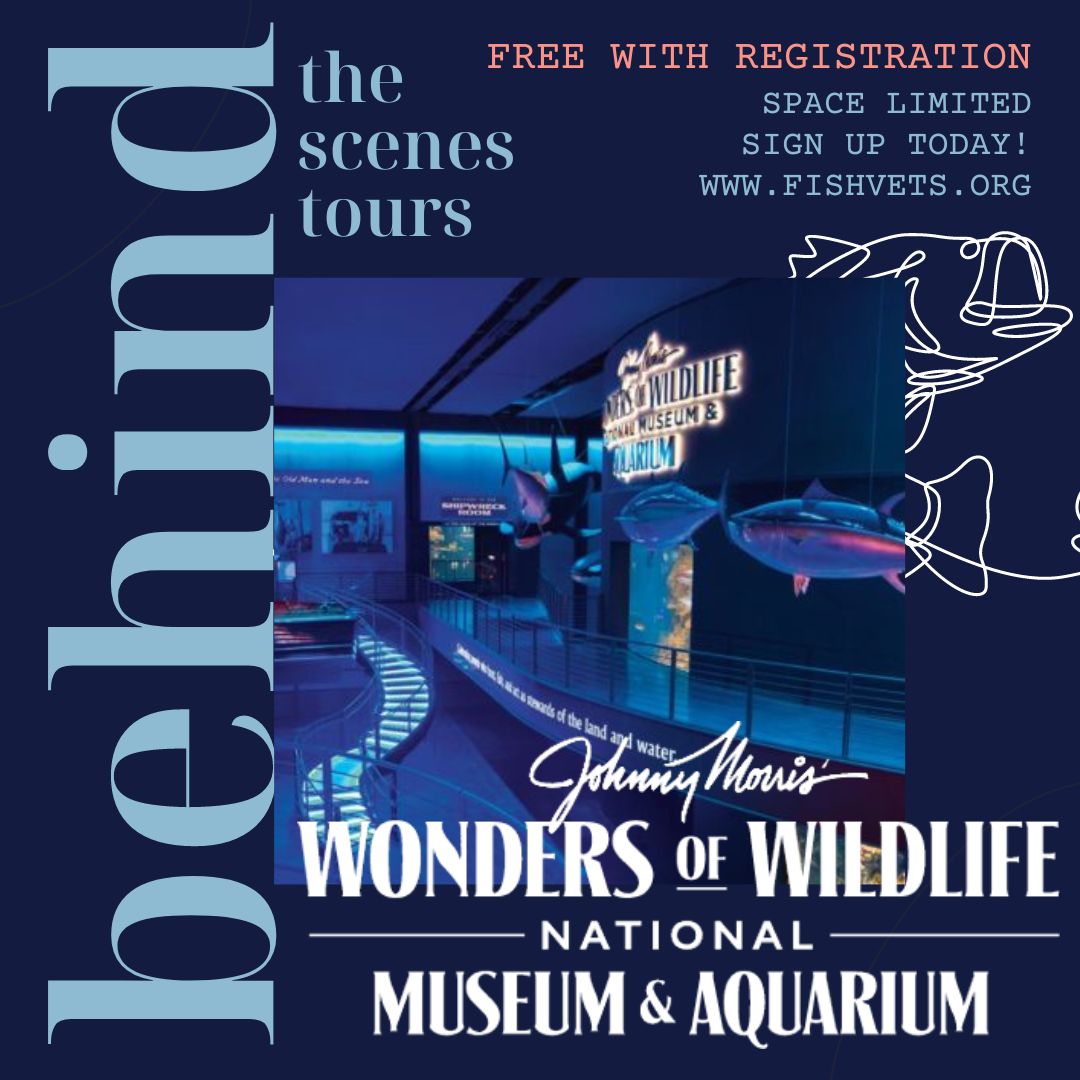 fishvets's tweet photo. When registering for the conference, don't forget to claim your spot with the FREE behind-the-scenes tour of the Wonders of Wildlife Museum &amp; Aquarium! Spots are becoming limited for this unique experience! https://t.co/1tT4upW7mz