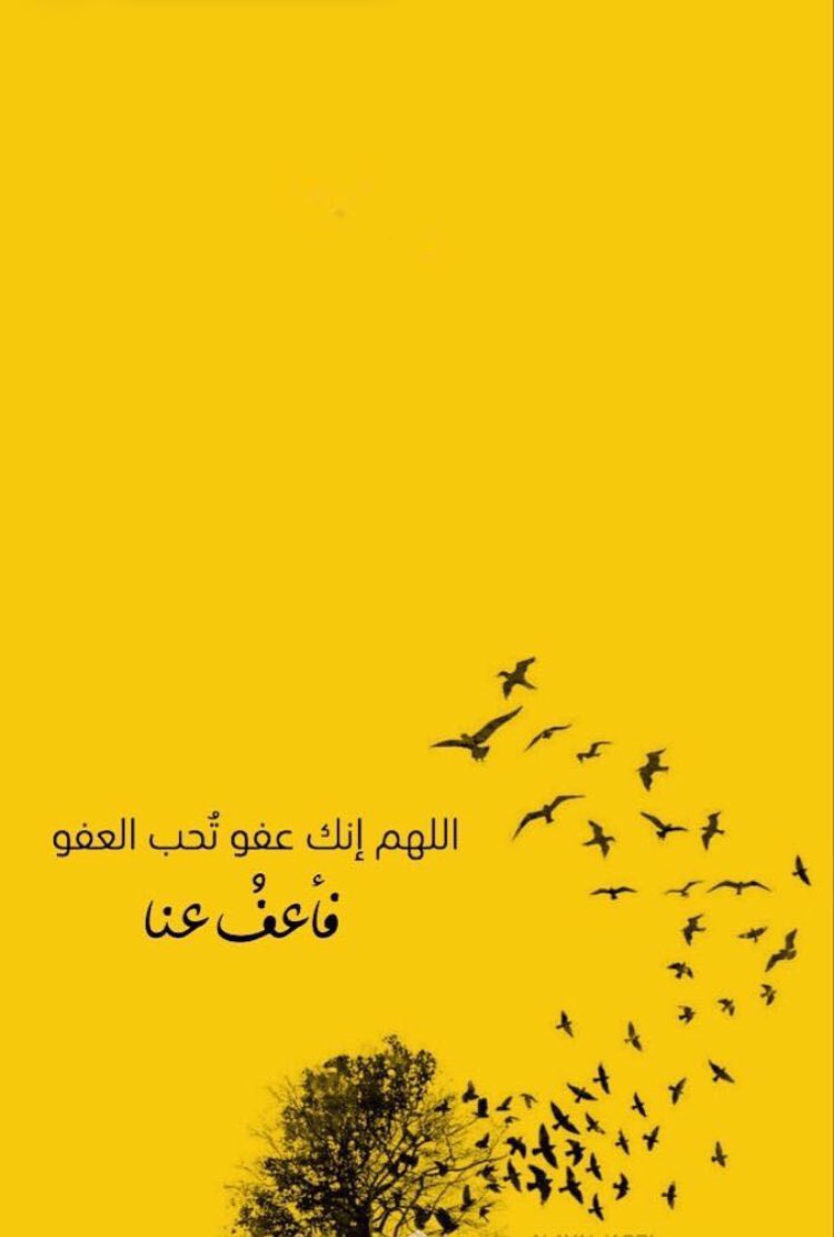 رتابة فوضوي tweet media