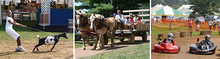 Rutgers NJAES tweet media