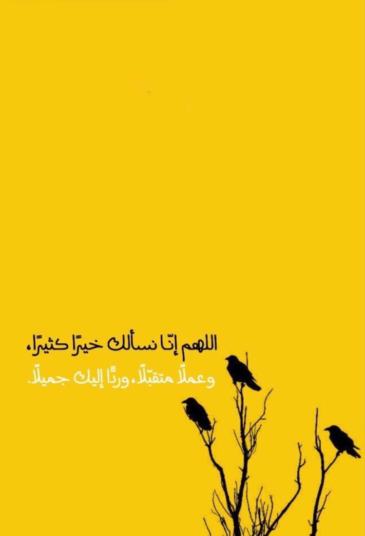 رتابة فوضوي tweet media