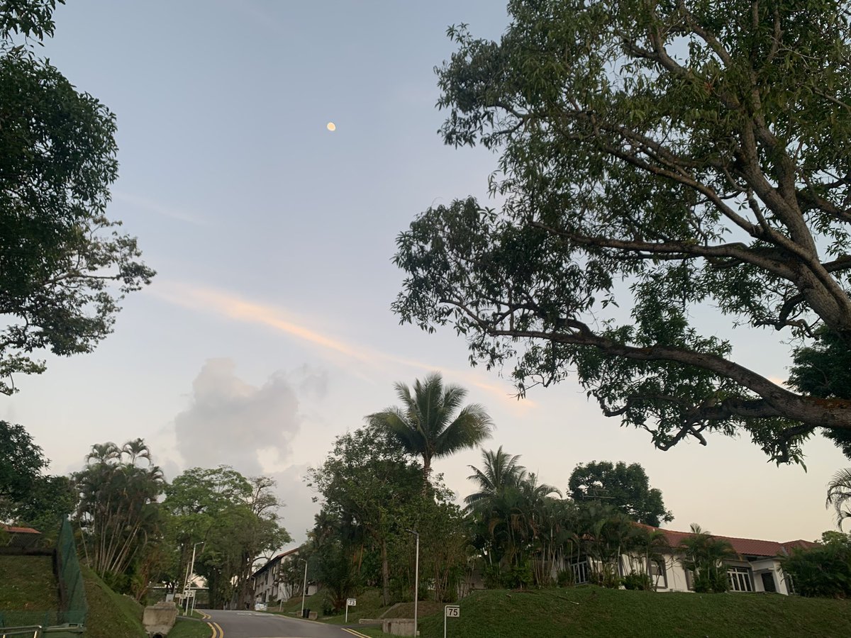 fengxiaolei91's tweet photo. Absolutely thrilled to launch a brand new course @NTUsg! Huge thank you to all students from @ntu_mse who have enrolled-all slots gone in record time. We delve deeper into how to build a #SustainableFuture here at #Singapore. #MS4667 #Sustainability #educacion #university https://t.co/E7zny2mJu7