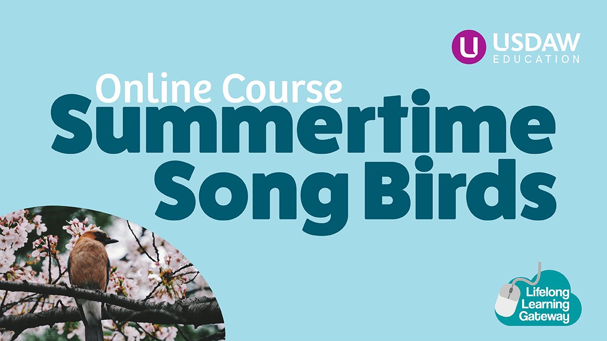 Summertime Songbirds is a short course using famous song titles or lines to help you learn some basic English rules and to avoid some of the common mistakes made with grammar.

Sign up now: usd.aw/2XDnmyb