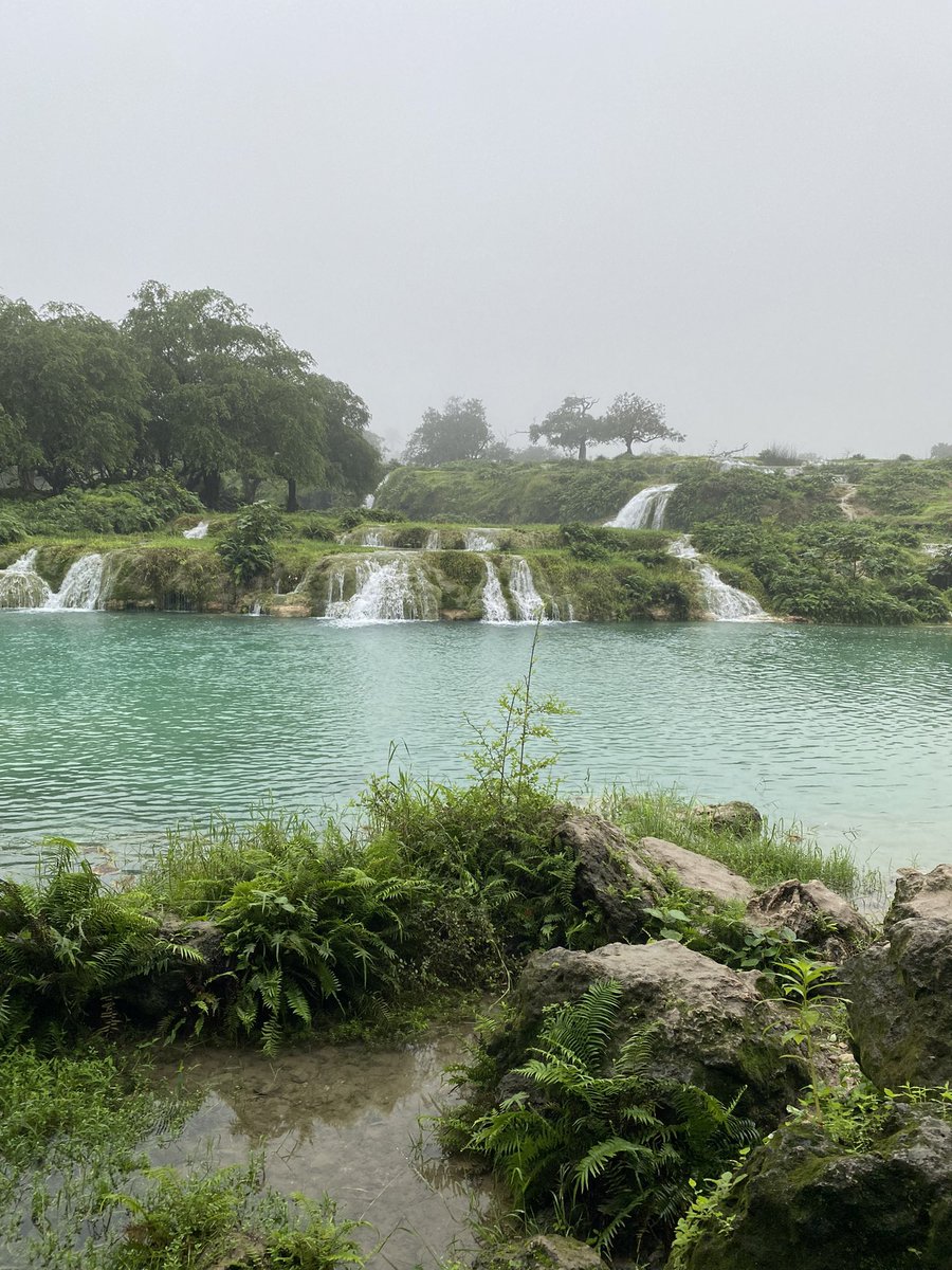 حبك سكن قلبي و مفنود🦩