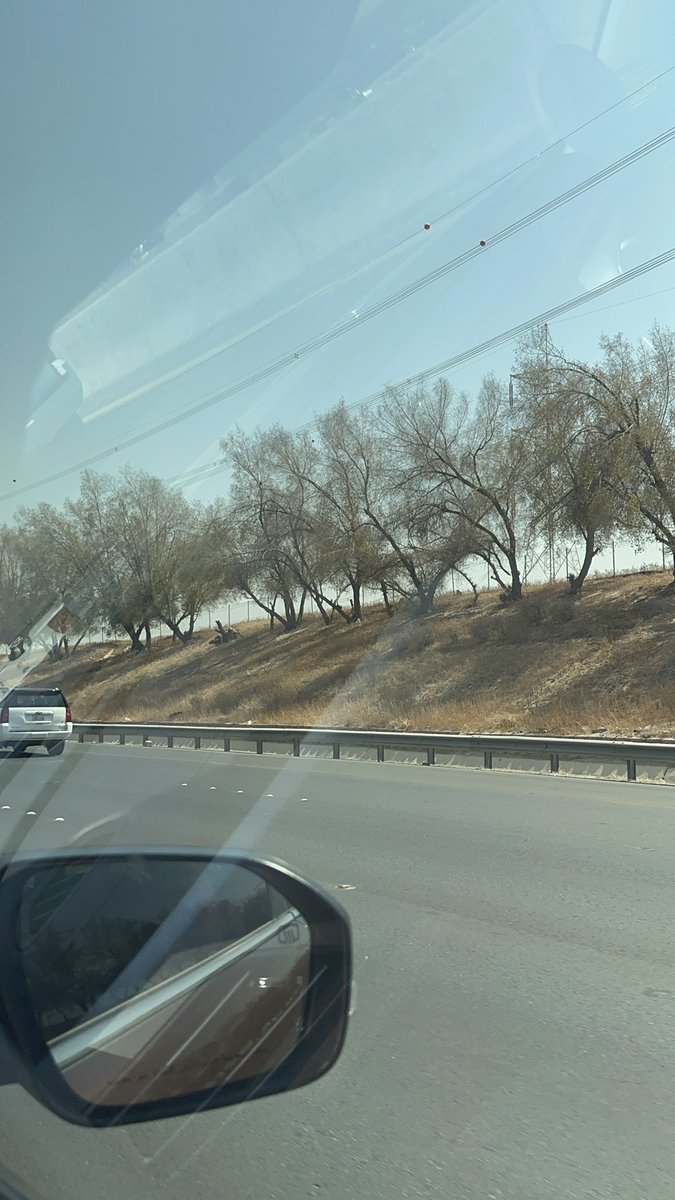 مدير الزرع 🪴 tweet media