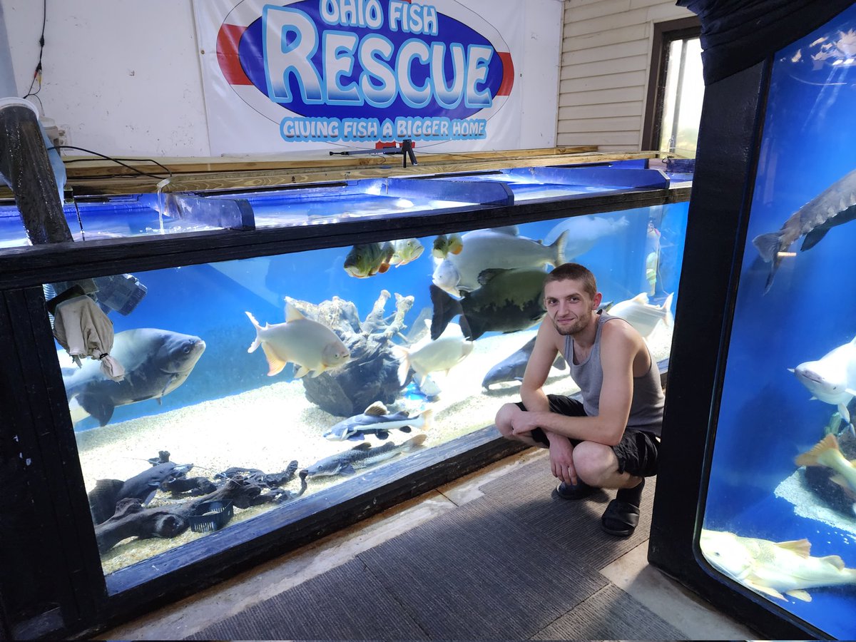 ohiofishrescue's tweet photo. A ton of these fish will be living in their new home soon 🐟 🐠  #fish #aquarium https://t.co/g0iaRYaMv4