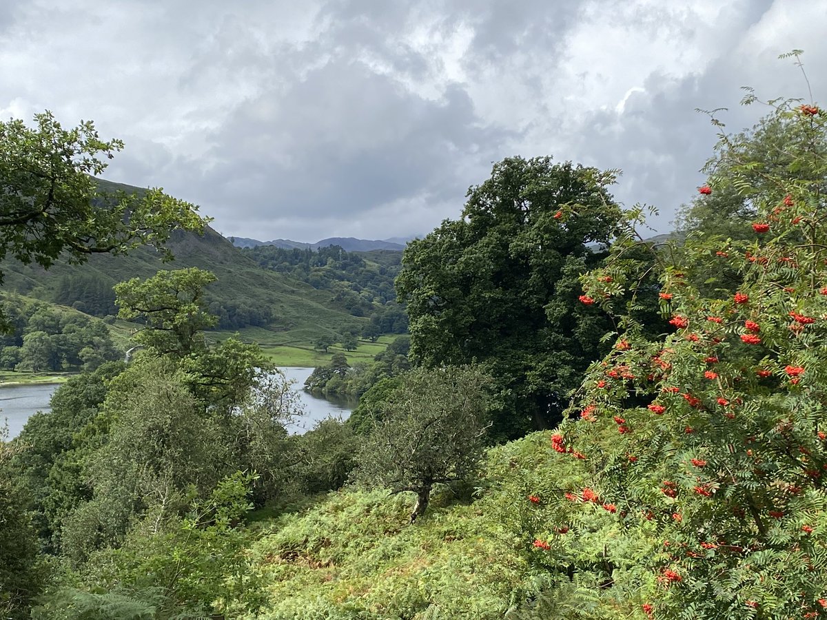 aphjacobs's tweet photo. How I’ve missed the classic British wet summer holiday….Cornwall to Cumbria for the best fudge, millionaire’s shortbread, ice-cream, gingerbread, scones, clotted cream and fish &amp; chips.And a bit of hiking in the drizzle. Spectacular @lakedistrictnpa @VisitCornwall @VisitBritain https://t.co/nXsKBWLGHA