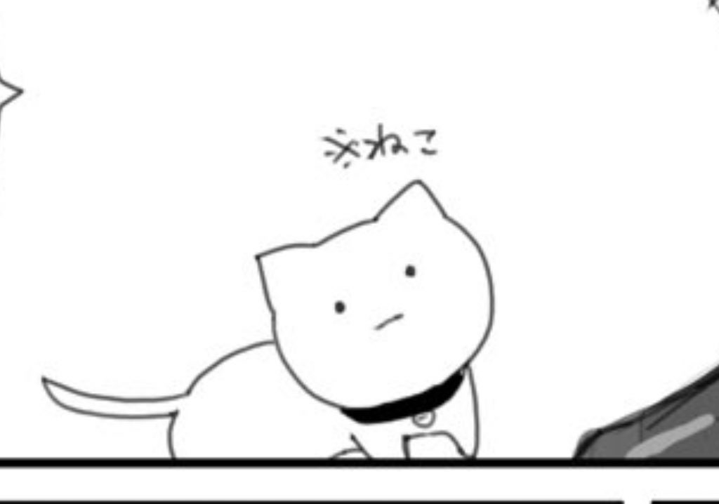 おまえ.....猫か.......?