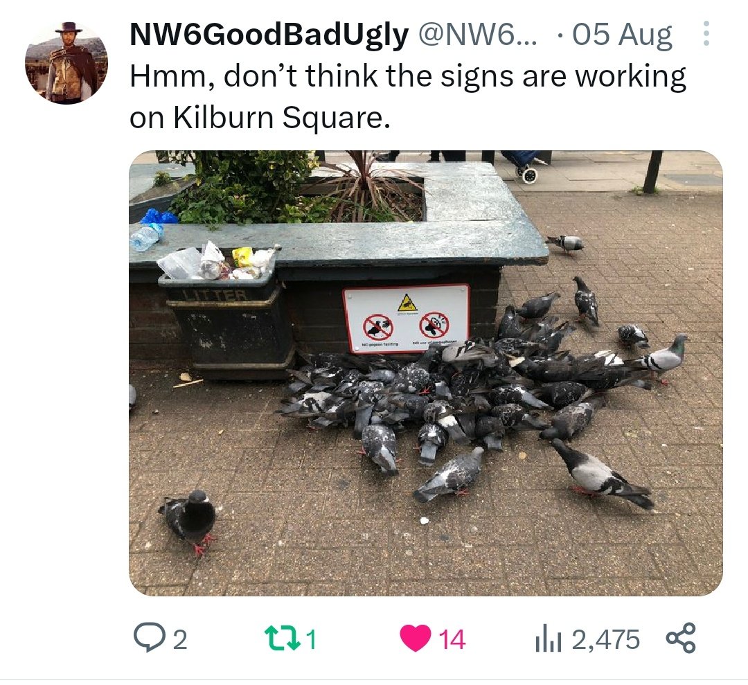 Sometimes you have to pinch yourself! <a href="/Brent_Council/">Brent Council</a> blowing their trumpet about the Kilburn Square pigeons, when pigeons are still being fed with no repercussion! Today the floor full of grain again.